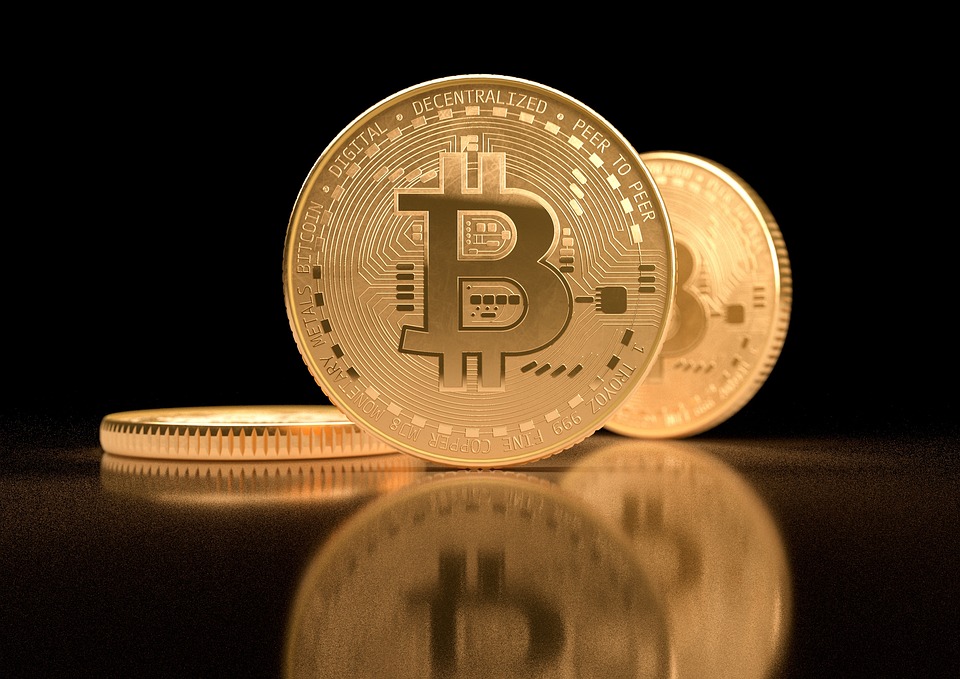 Beginner’s Guide to Bitcoin Wallets: Choosing the Best for Your Needs