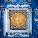 Protecting Your Bitcoin: The Leading Wallets for U.S. Users Reviewed