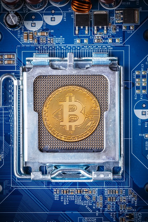 Protecting Your Bitcoin: The Leading Wallets for U.S. Users Reviewed