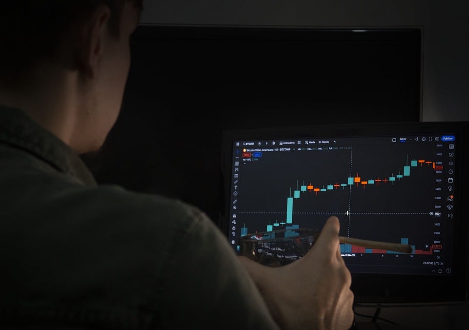 Hardware vs. Software Wallets: Which Offers Better Security for Bitcoin in America?