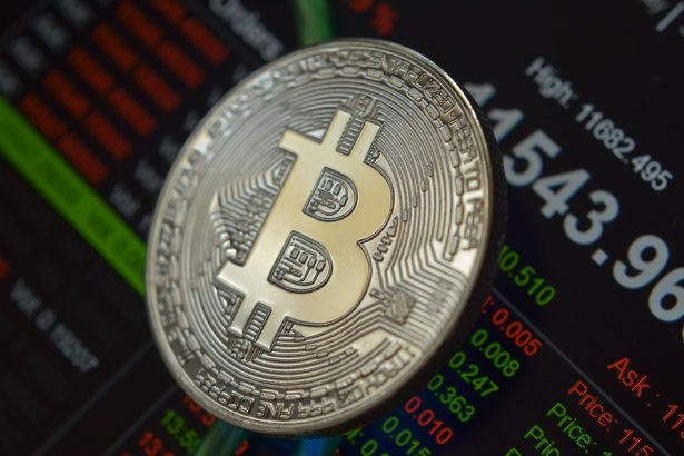 Bitcoin Boom or Bust: What Experts Predict for 2024